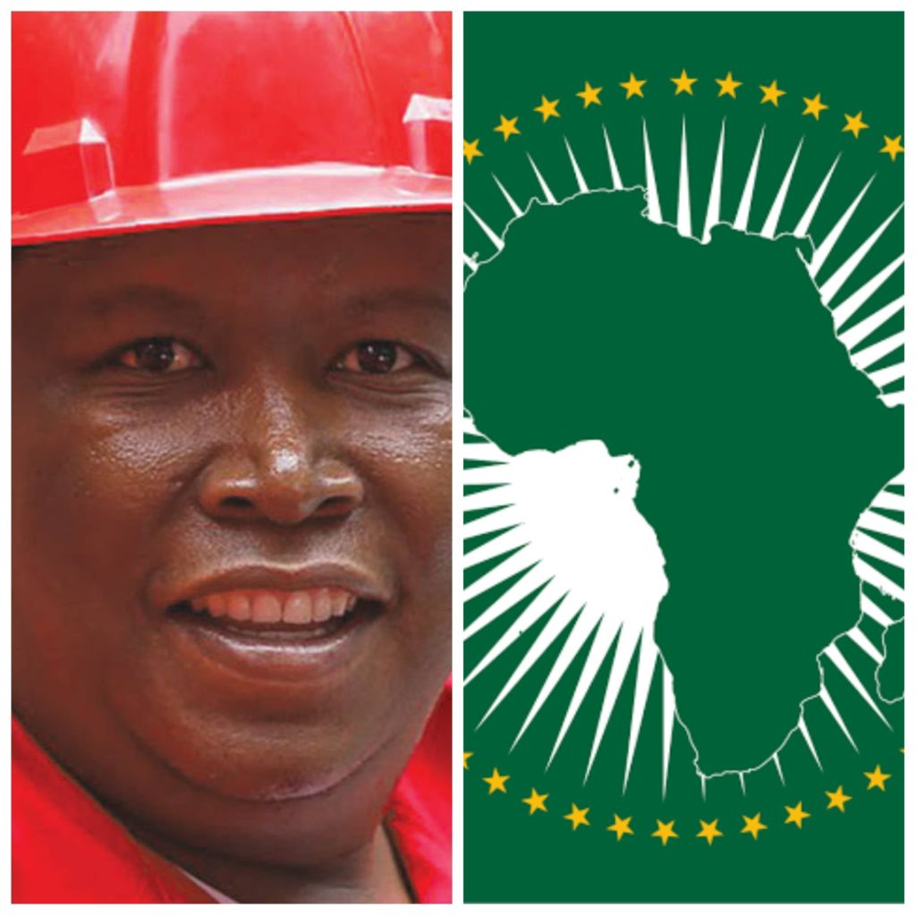 L'Union Africaine et Julius Malema condamne le meurtre de George Floyd