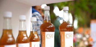 Le covid-organics Malgache testé en Allemagne