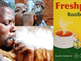 Les Sud-Africains fument maintenant du thé en raison de l'interdiction des cigarettes