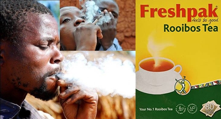 Les Sud-Africains fument maintenant du thé en raison de l'interdiction des cigarettes