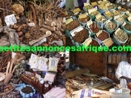 Les guérisseurs Africains appellent à une Organisation Africaine de la Santé