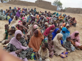 Les troupes nigérianes sauvent 241 femmes et enfants de la captivité de Boko Haram