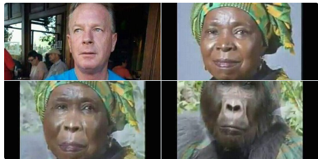 Un Ministre Sud-Africain qualifié de babouin,une image qui choque