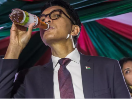 le covid-organics Malgache