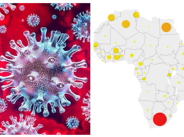 L'OMS déclare que l'épidémie de coronavirus en Afrique «s'accélère»