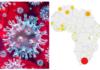 L'OMS déclare que l'épidémie de coronavirus en Afrique «s'accélère»