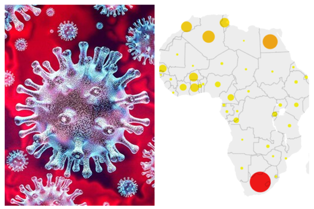 L'OMS déclare que l'épidémie de coronavirus en Afrique «s'accélère»