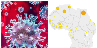 L'OMS déclare que l'épidémie de coronavirus en Afrique «s'accélère»