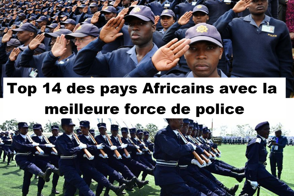 Top 14 des pays africains avec la meilleure force de police