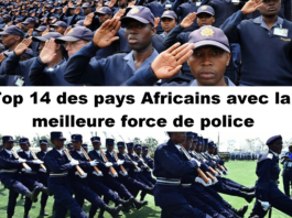 Top 14 des pays africains avec la meilleure force de police