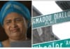 La maman d'Amadou Diallo parle de la mort de George Floyd