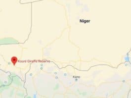 six touristes français tués par des hommes armés au Niger.
