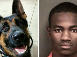 condamné à 45 ans de prison pour avoir tué un chien