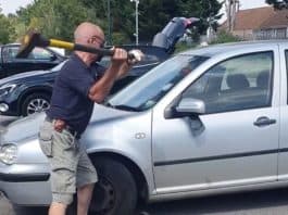Un homme brise la vitre d'une voiture pour sauver un chien