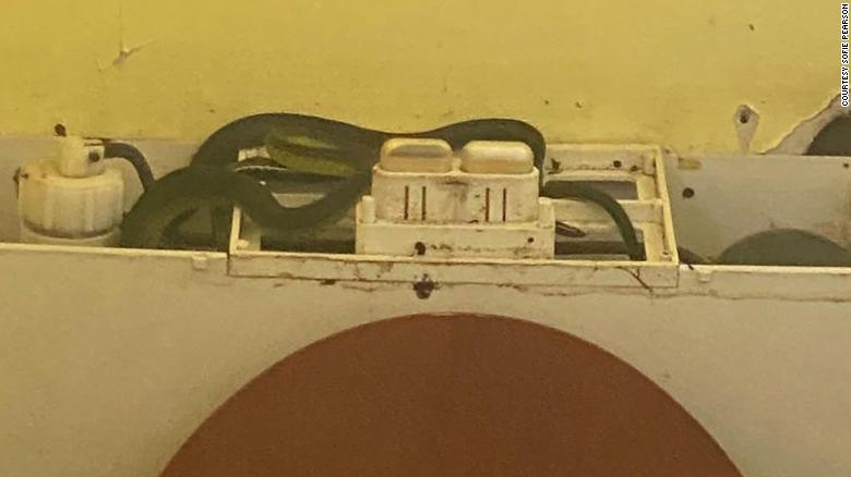 serpents dans son réservoir de toilettes