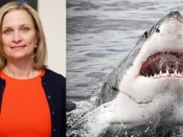 Une femme tuée par un requin