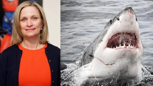 Une femme tuée par un requin