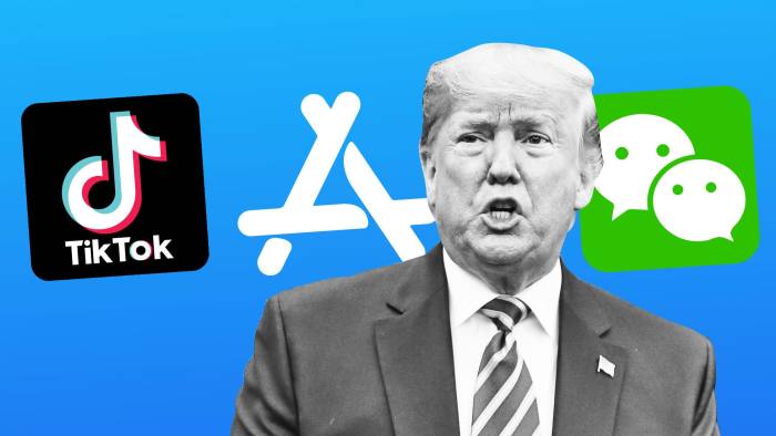 TikTok banni app stores