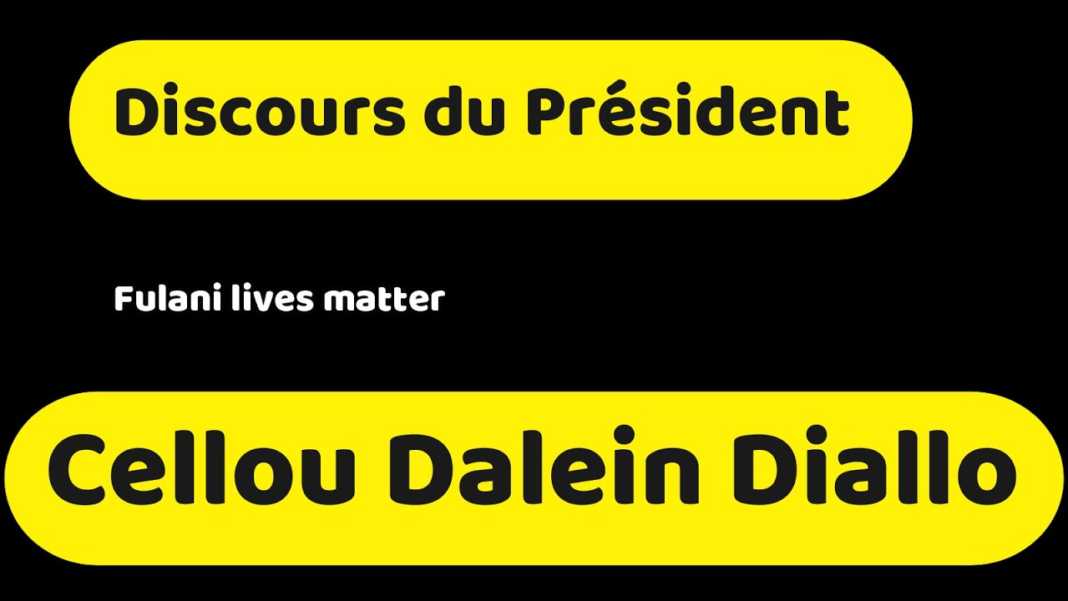 Discours du Président Cellou Dalein Diallo