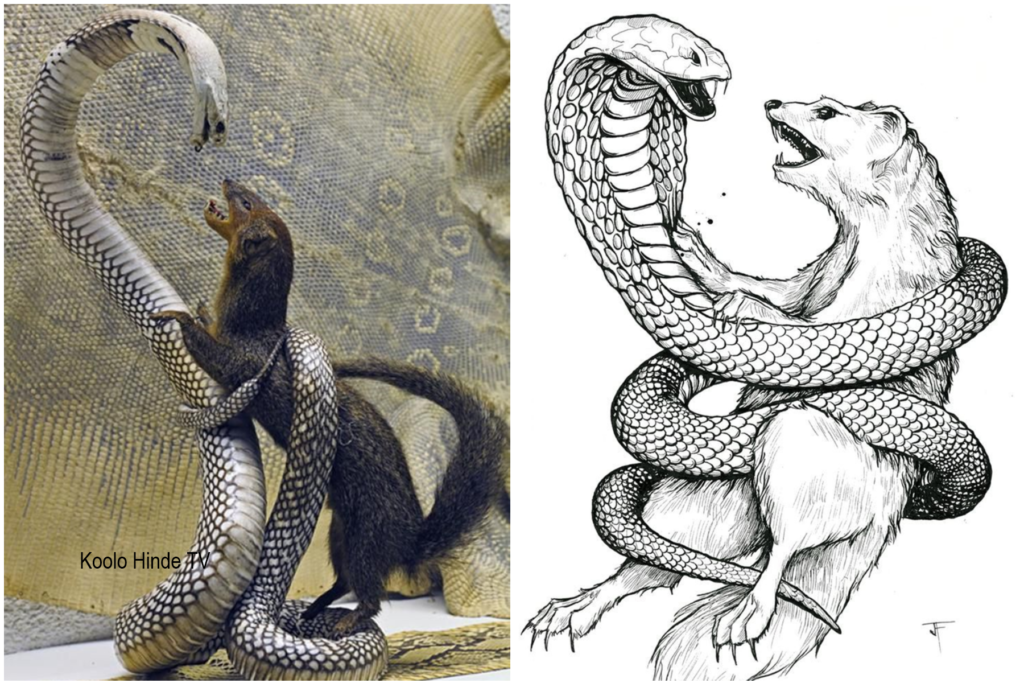 quels sont les animaux ennemis des serpents?