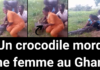 Un crocodile mord une femme au ghana