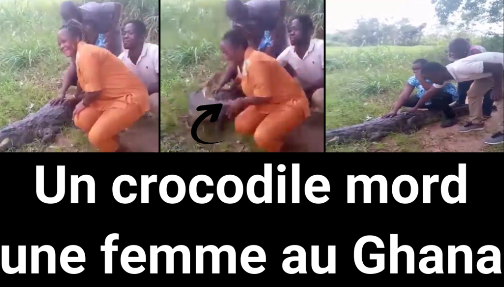 Un crocodile mord une femme au ghana