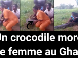 Un crocodile mord une femme au ghana