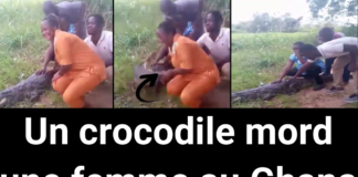 Un crocodile mord une femme au ghana