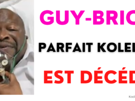 Guy-Brice Parfait Kolelas est décédé