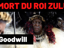 Le roi zoulou Goodwill Zwelithini est mort
