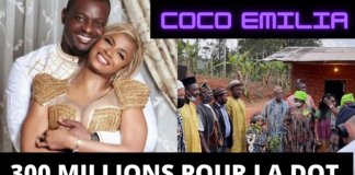 Mariage de Coco Emilia avec Francis Mvemba à Yaoundé