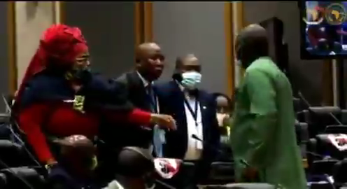 Julius Malema menace de tuer un député du Parlement panafricain