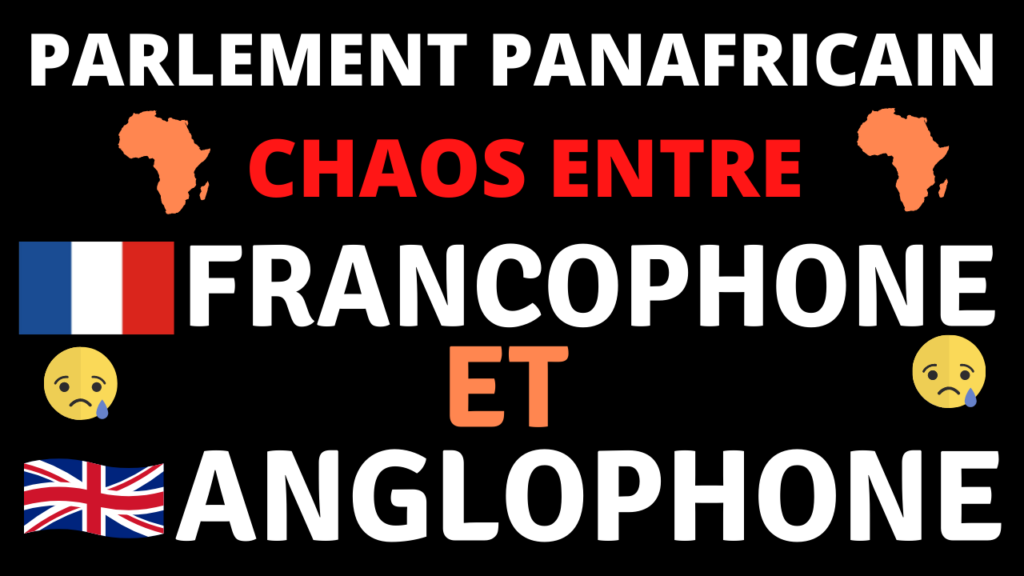 chaos au parlement panafricain en afrique du sud