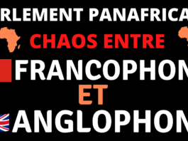 chaos au parlement panafricain en afrique du sud