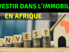 investir dans l'immobilier en afrique 2022