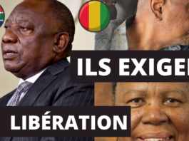 L'Afrique du Sud demande la libération d'Alpha Condé
