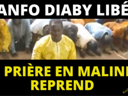 nanfo diaby libéré