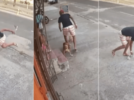 un voleur mis en échec par un chien au Brésil