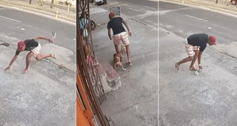 un voleur mis en échec par un chien au Brésil