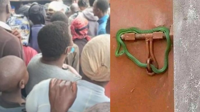loyer impayé propriétaire ferme la porte avec un serpent