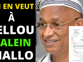 Expulsion de Cellou Dalein Diallo de sa résidence