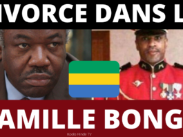 Frédéric Bongo Ondimba radié de l'armée