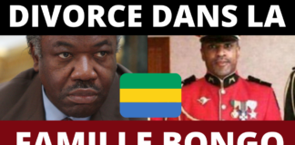 Frédéric Bongo Ondimba radié de l'armée