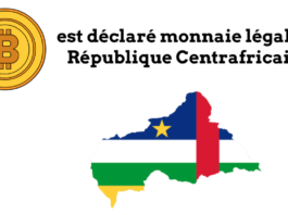 Bitcoin est déclaré monnaie légale en République centrafricaine