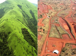 Mont nimba guinée