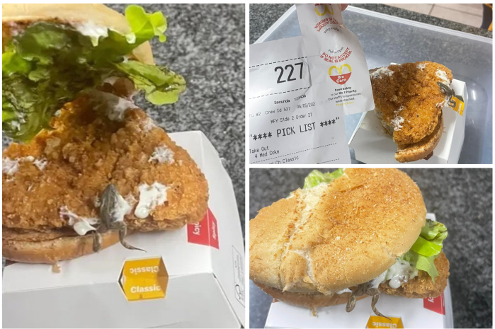 Une grenouille découverte dans un hamburger de McDonald