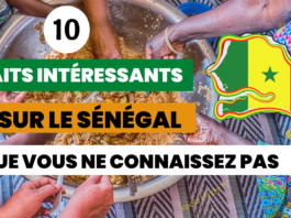 10 faits intéressants sur le Sénégal