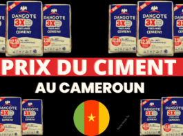 Prix du ciment au cameroun 2023