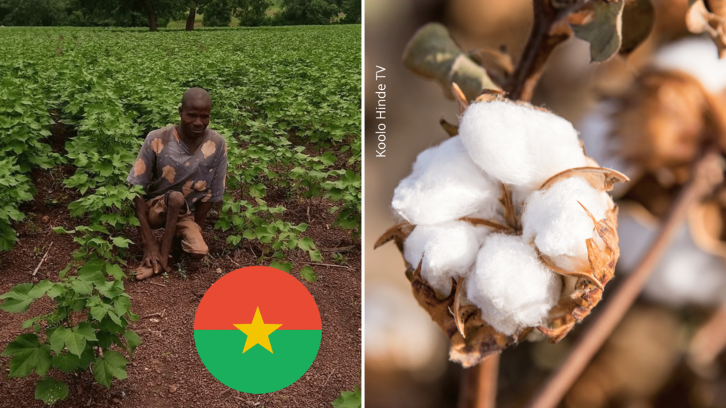 Un handicapé qui à réussie dans l'agriculture du conton