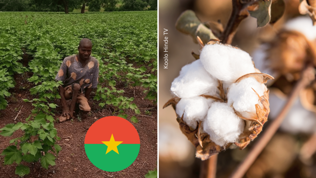 Un handicapé qui à réussie dans l'agriculture du conton